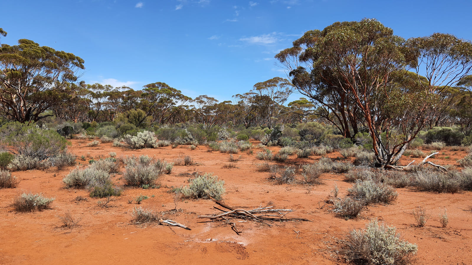 Gold Detecting for Seniors: Exploring Australias Riches with a Modern Twist